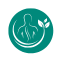  Physiotherapy